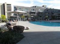Luxury Place In Downtown * Los Angeles